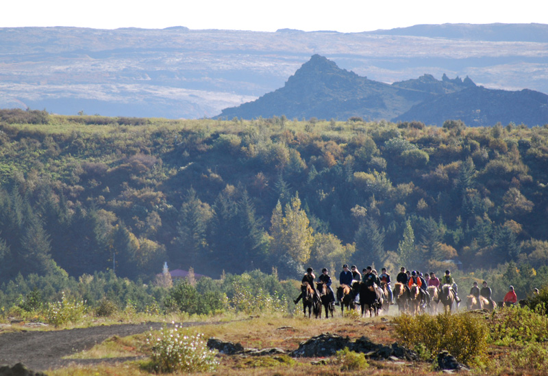 icelandic horse riding tour in lava fields