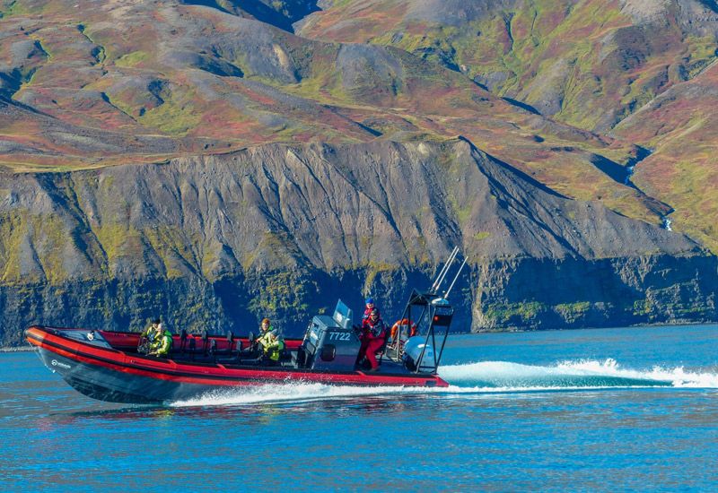 Rib Boat Husavik 